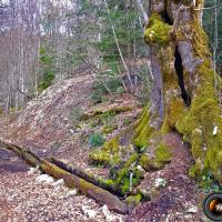 La source des Ayes