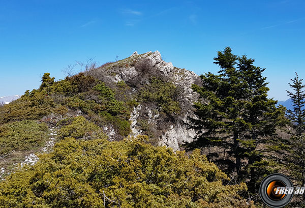 Le sommet du Charbonnier.