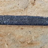 Rostres de Bélemnites près de Pissegui.