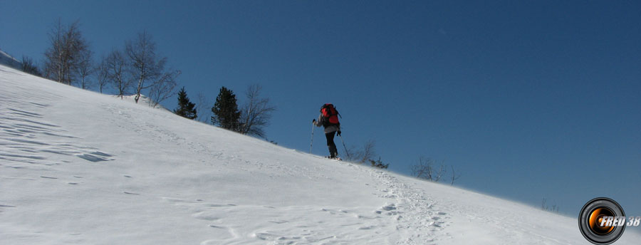 Près du refuge du Plan.