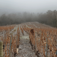 Départ dans les Vignes.