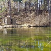 Le petit plan d'eau et la cabane en pierres.
