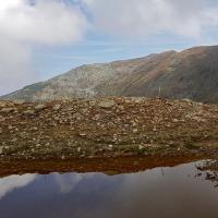 Teta di Garina.