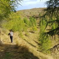 Dans la montée.
