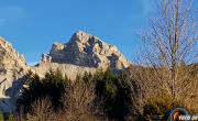Tete de garnesier photo