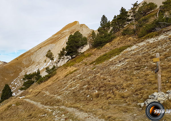 Le sommet vu du col de Plate-Contier