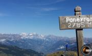 Tete de paneyron photo2
