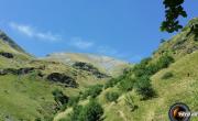 Tete de rame photo