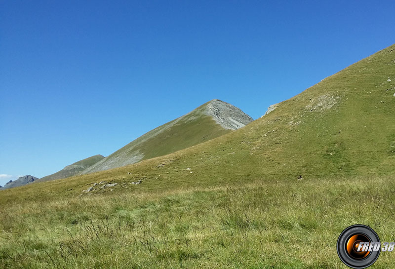 La crête herbeuse et le sommet.