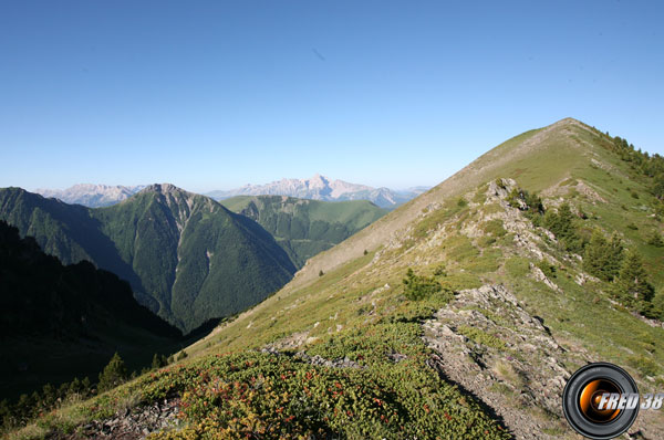 La crête sommitale.