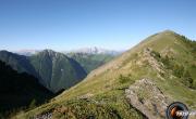 Tete du vet photo1