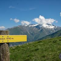 En fond le Taillefer.
