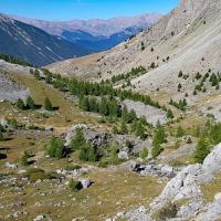 Le vallon de montée.