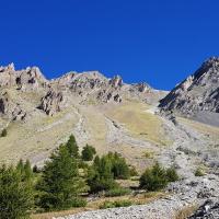 La tête de Viraysse au desus.