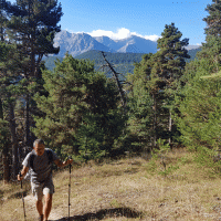 Dans les bois.