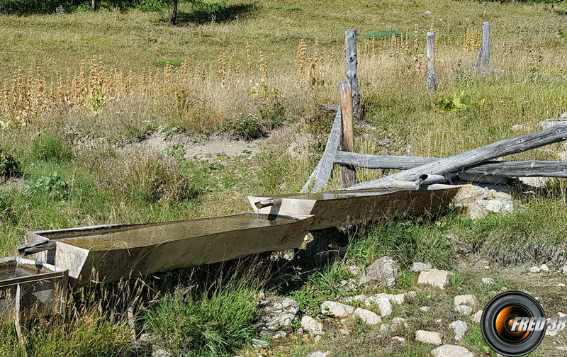 La fontaine.