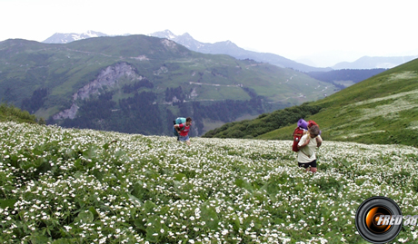 Tour aiguille gd fond photo3