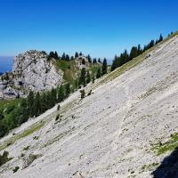 Sous le Pas de la Suiffière.