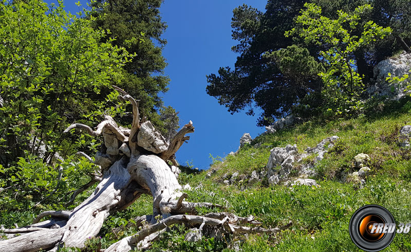 Col du Fret.