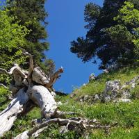 Col du Fret.
