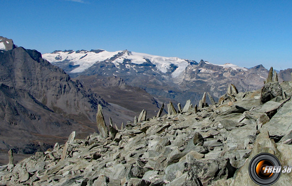 Tour glacier photo0