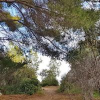 Début du sentier.