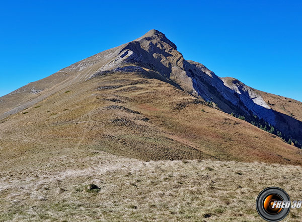 La crête montant au sommet.