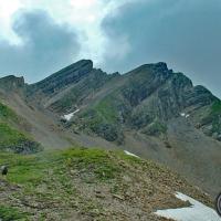 Dans la Combe du Grand Crêt