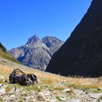 Le vallon,