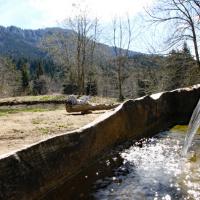La fontaine du Rivet.