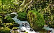 Vallon du bruyant photo