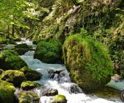 Vallon du bruyant photo