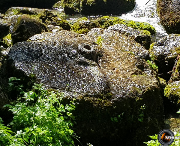 Les restes de l'ancien moulin