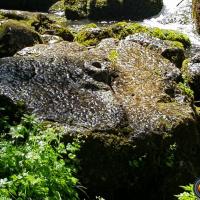 Les restes de l'ancien moulin