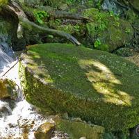 Les restes de l'ancien moulin