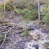 Traversée du ruisseau.