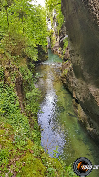 Le guiers près du pont