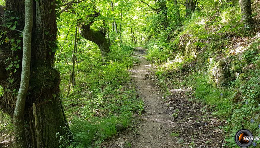 Itinéraire sous les chataigniers